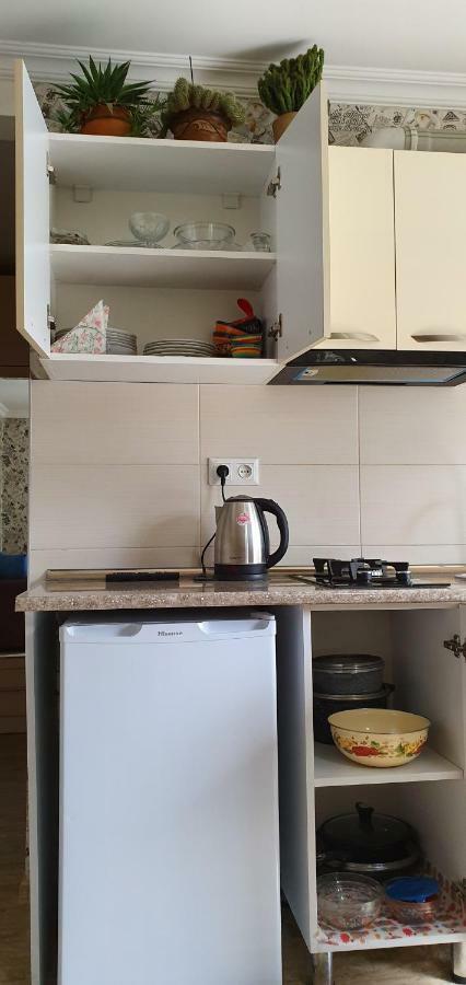 Parkside Apartment Bordżomi Zewnętrze zdjęcie